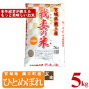 【ふるさと納税】＜令和6年産米＞蔵王産　我妻の米（ひとめぼれ）　玄米5kg　【04301-0385】