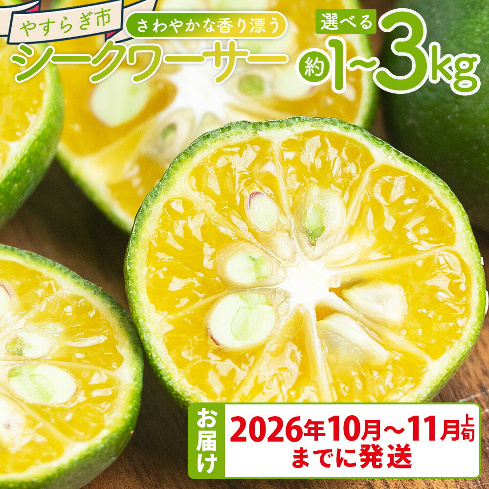 【ふるさと納税】【選べる数量】【先行受付】さわやかな香り漂うシークワーサー（約1kg/2kg/3kg） - 選べる 内容量 国産 シークヮーサー 果物 フルーツ 果実 青果 柑橘 ヒラミレモン ジュース 酒 やすらぎ市 高知県 香南市【常温】【2026年10月～11月上旬までに発送】