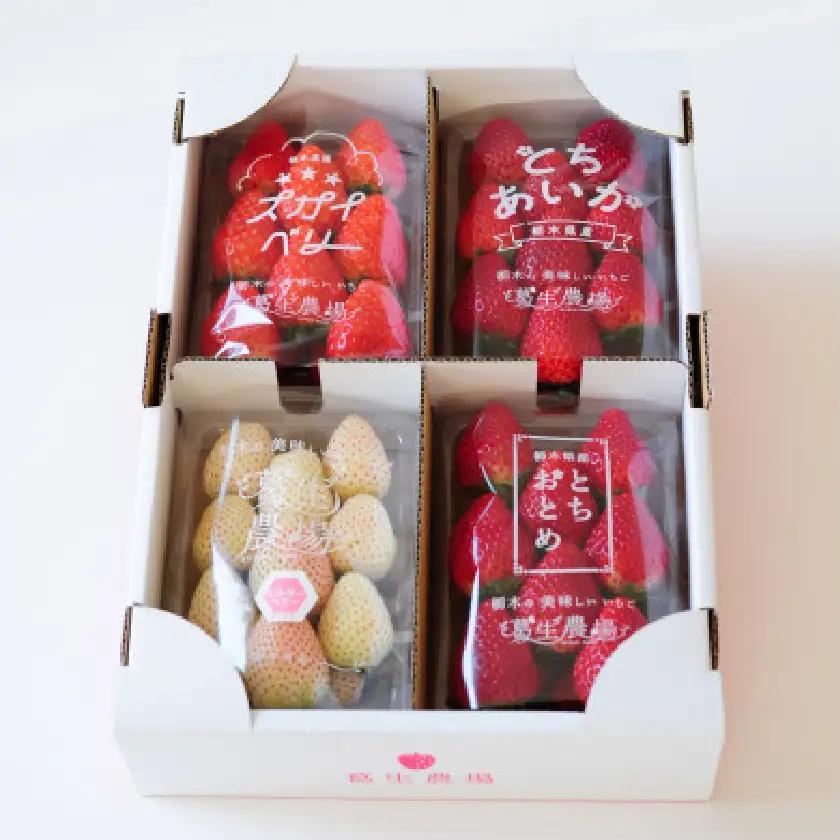 【春イチゴ】栃木いちご4種詰め合わせセット(260g×4パック)【配送不可地域：離島】【1663311】
