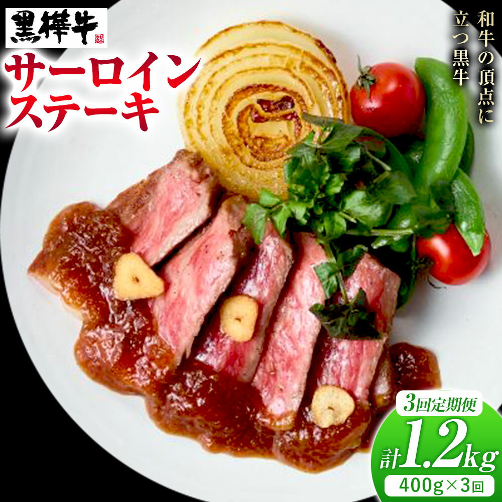 【ふるさと納税】【3ヶ月定期便】 くまもと黒毛和牛 黒樺牛 A4-A5等級サーロインステーキ定期便 400g×3回 合計1.2kg 《お申し込み月の翌月から出荷開始》熊本県 菊池市 和牛 お肉 牛肉 黒毛和牛 霜降り ステーキ 定期便 国産 九州産 熊本県産 冷凍 送料無料