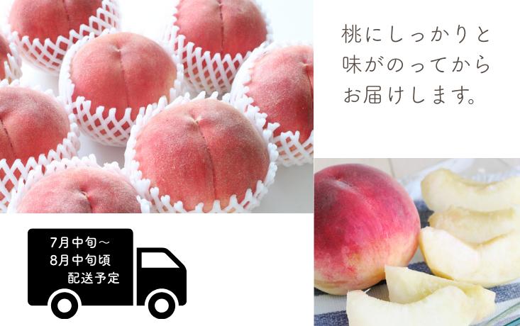 緻密な肉質と甘く芳醇な香り。糖度が高くジューシーな食感です。