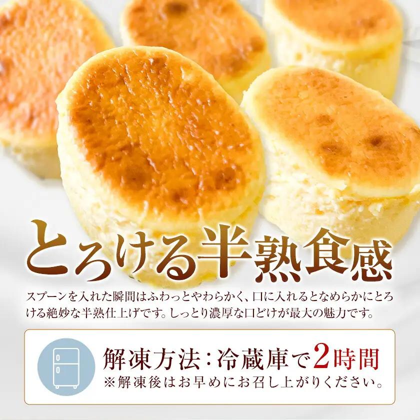 半熟チーズケーキ 計20個(10個×2箱) こだわり半熟チーズ 菓心 徳丸屋《30日以内に出荷予定(土日祝除く)》