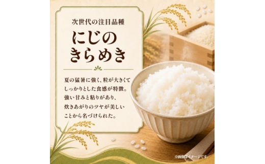 ＜毎月定期便＞お米屋さんのにじのきらめき 精米 10kg(5k×2袋) 全3回【4094566】