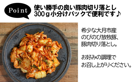 自然の中で飼育された 大月のびのび放牧豚の切り落とし肉  1.5㎏以上 （300g×5パック）