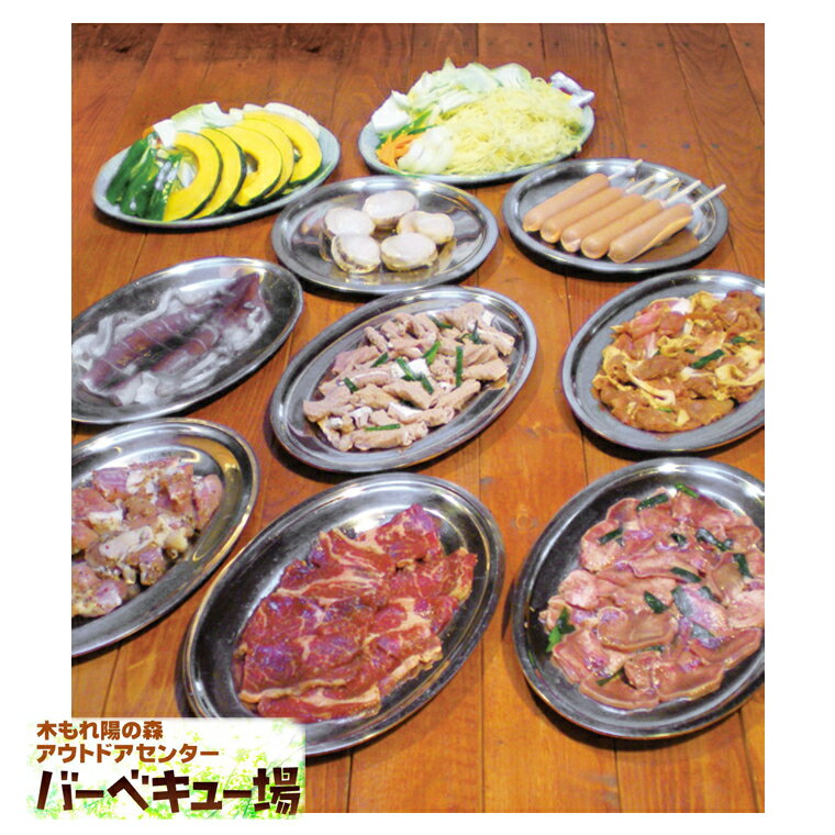 【ふるさと納税】【21世紀の森と広場】バーベキューまんぞくコース（5名様分）　BBQ