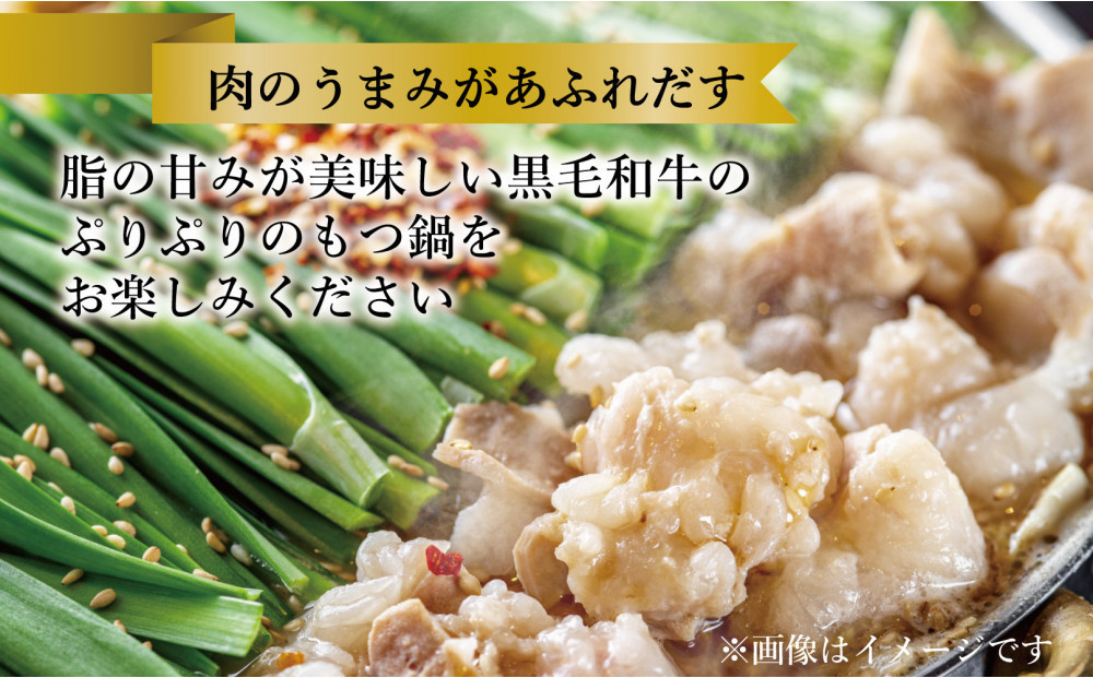 黒毛和牛もつ鍋　白濁 鶏ガラスープ醤油スープ　３?４人前セット
