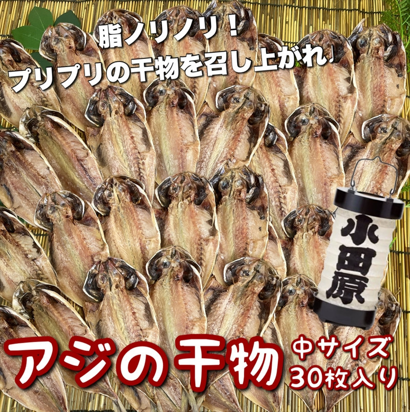 鯵の干物 中サイズ 30枚セット 142069_DQ124