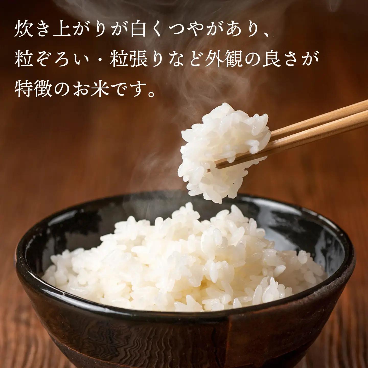 令和7年産 青森県産 まっしぐら 10kg 精米 白米 お米