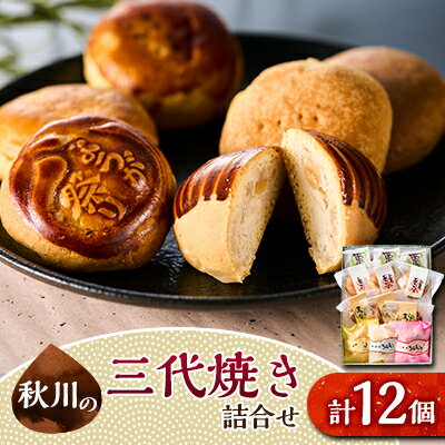 【ふるさと納税】秋川の三代焼き詰め合わせ(12個入)【お茶ぞっぺの中島屋(あきる野の匠)】【1509715】