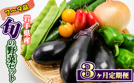 岩手県産 野菜セット 7品 ～ 9品 3ヶ月 定期便 ／ 野菜 やさい 詰め合わせ 詰合せ 詰合わせ 旬 新鮮 国産 季節 季節野菜 おまかせ 春野菜 夏野菜 秋野菜 山菜 葉野菜 葉物 根菜 果菜 