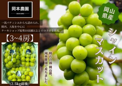 シャインマスカット　3～4房　約2.5kg｜  シャインマスカット
