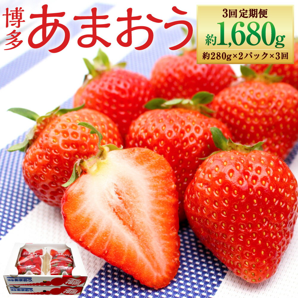 【ふるさと納税】【年3回定期便】 博多あまおう 2パック 約560g×3回 合計約1680g 国産 九州 福岡県産 イチゴ いちご 苺 果物 くだもの フルーツ 予約 送料無料 【2026年2～4月発送】 [G5352a]