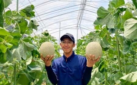 くまモン柄のメロン 1玉 【2026年6月下旬発送開始】 くだもの 果物 フルーツ めろん  肥後グリーンメロン くまもん くまモン