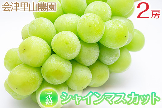 
            【予約開始】  完熟シャインマスカット 650 ~ 750g 2房 （会津里山農園）47-B ｜ 福島 ぶどう 皮ごと 種なし シャインマスカット 先行予約 ※2025年10月上旬頃～中旬頃に順次発送
          