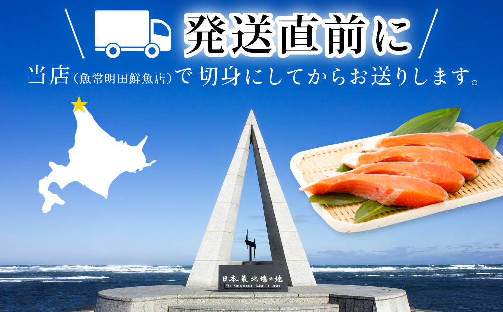 『希少・天然』時知らず鮭3kg前後_ 時知らず 鮭 3kg