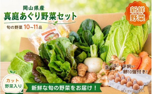まにわの野菜 真庭あぐり野菜セット 10～11品 カット野菜入り 平飼い卵付き  / 詰め合わせ 産地直送 岡山県 真庭市 新鮮 あぐりガーデン 産直工房 国産【配送不可地域：北海道／沖縄県／離島】【