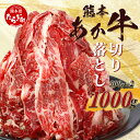 【ふるさと納税】熊本あか牛 切り落とし 計1Kg (500g×2) 小分け 冷凍 牛肉 肉 熊本 熊本県産 あか牛 赤牛 切り落とし 切落し 焼肉 牛丼 多彩な料理に 国産 九州産 送料無料 041-0136