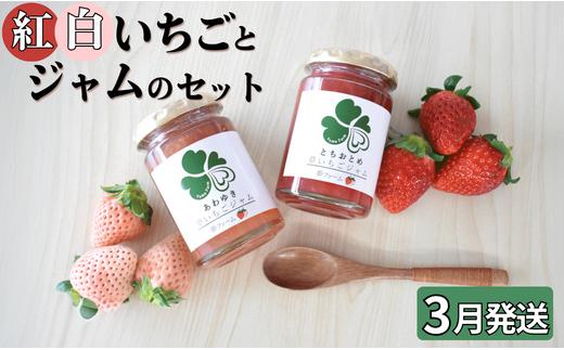 【3月発送】紅白いちごとジャムのセット