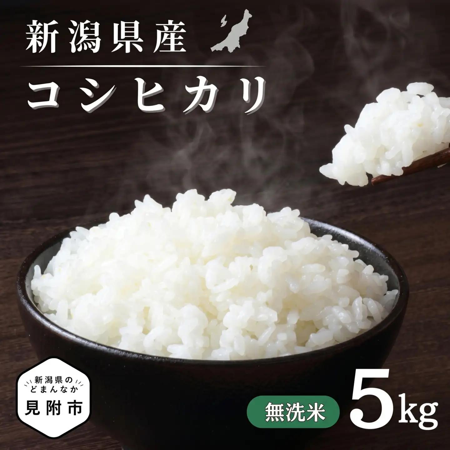 米 精米 令和7年産 コシヒカリ 5kg