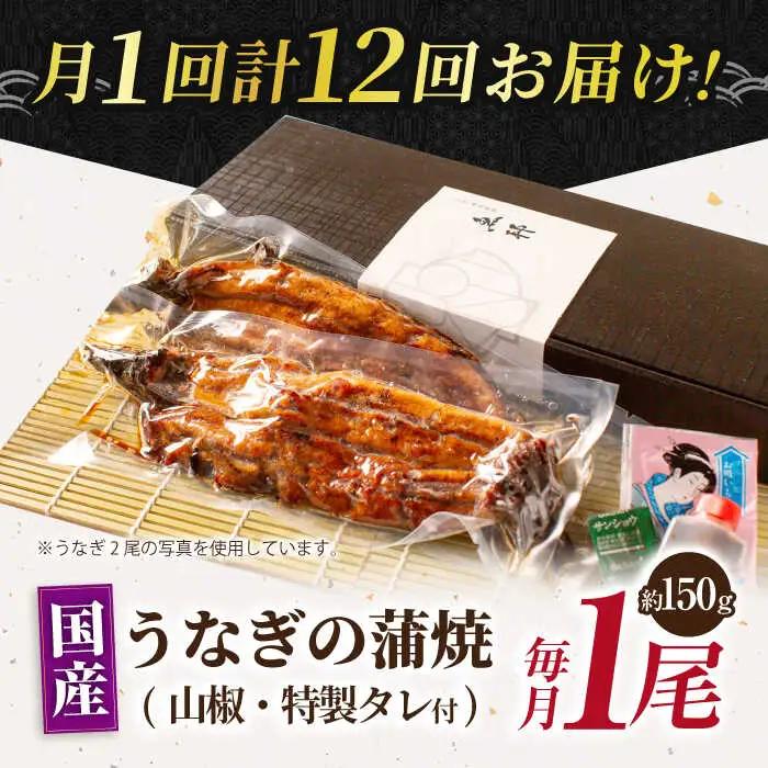 【12回定期便】国産上うなぎ蒲焼 1尾 約150g  [AVBH010]魚邦 定期便