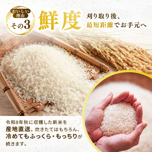 ひとめぼれ 5kg×1袋 令和8年産 新米 白米 精米【2か月定期便】