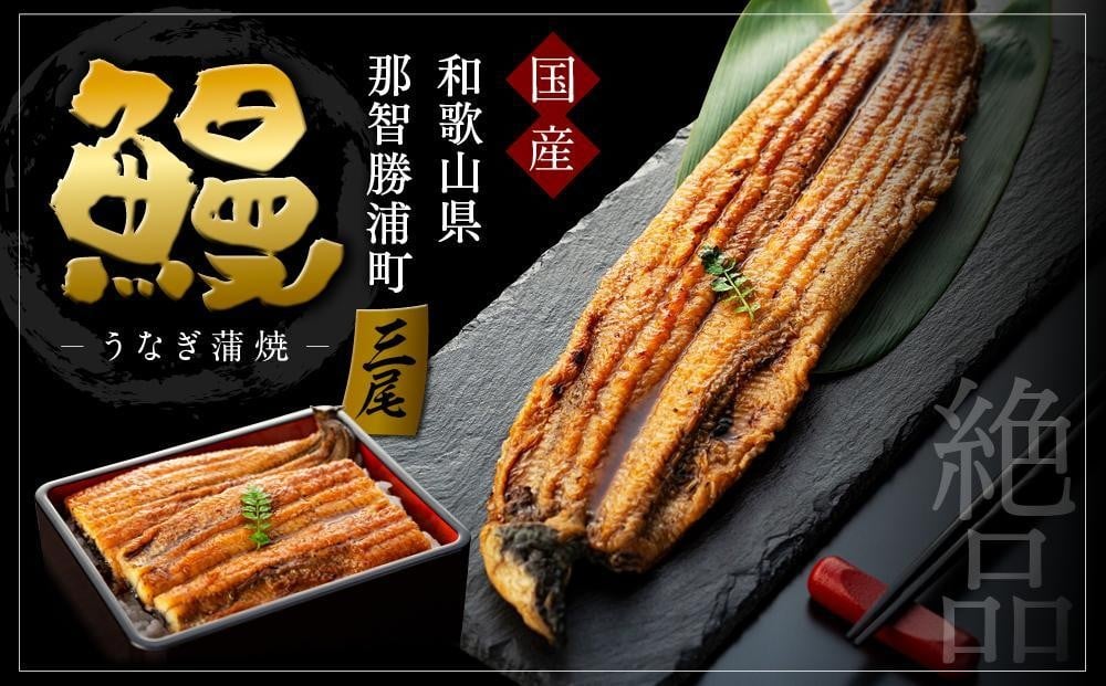 
                  【ギフト用】国産活鰻を地元の醤油で仕上げた絶品のうなぎ蒲焼(3尾）
                