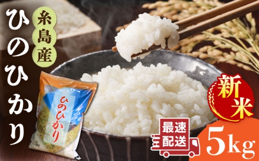 【年内発送】【令和7年産新米】糸島産 ひのひかり 5kg 糸島市 / 三島商店 [AIM003] 米 白米
