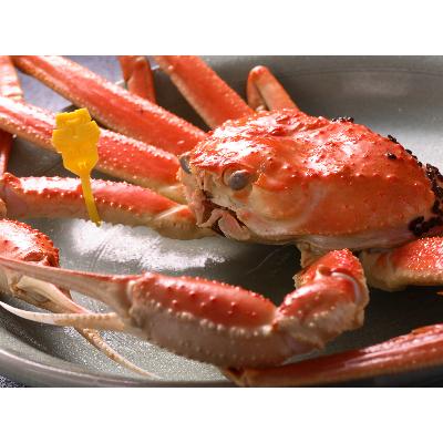 ふるさと納税 鯖江市 【11月6日漁解禁】福井冬の味覚!越前がに 1杯 (900〜1,000g) |  | 01