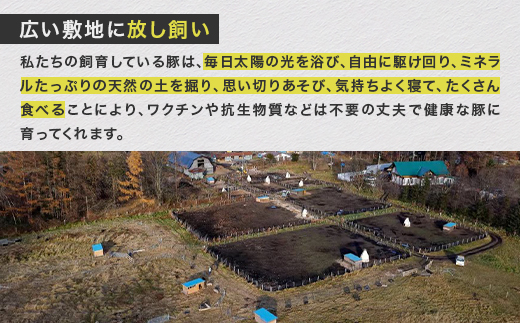 鹿追産　自然放牧黒豚　しゃぶしゃぶ(3種各200g)＆無添加生ソーセージ(3種各150g)セット【配送不可地域：離島】
