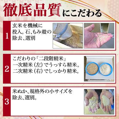 ふるさと納税 大仙市 【毎月定期便】全6回25kg(5kg×5袋)大手有名百貨店出荷米あきたこまち【令和7年産】全6回 |  | 01