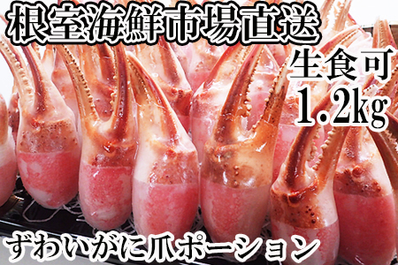 [12月10日決済分まで年内配送]生食用本ズワイガニ爪ポーション1.2kg B-11086