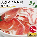 【ふるさと納税】【12回定期便】ジビエ 天然 イノシシ肉 切り落とし2kg（ぼたん鍋・煮込料理・野菜炒め用等）/ 猪 いのしし イノシシ 猪肉 お肉 しし鍋 精肉 冷凍 九州産 長崎県産【照本食肉加工所】 [OAJ024]