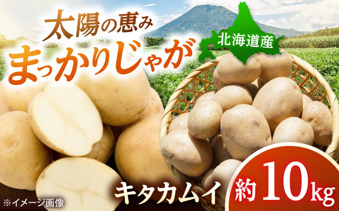 【2026年11月上旬以降順次発送】 じゃがいも キタカムイ（まっかりじゃが）10kg | 先行予約 野菜 じゃがいも ジャガイモ キタカムイ 北海道 産地直送 先行予約 | 道の駅 真狩フラワーセンター [BPAM047]