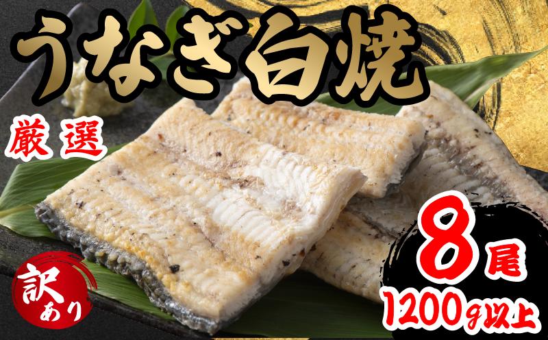 
訳あり うなぎ 白焼き 8尾 150g以上 × 8本入 計1200g 以上 ( 鰻 さんしょう 入り 本格 うなぎ 8匹 冷凍 冷蔵 鰻 しらやき 白焼 うな丼 うな重 ひつまぶし 人気 惣菜 海鮮 贈答用 プレゼント 贈り物 ギフト 滋賀県 竜王町 ふるさと納税 )
