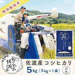 【新米】佐渡島産コシヒカリ 白米5Kg×1袋 特別栽培米 令和6年産 ”ベストファーマー認証受賞歴”