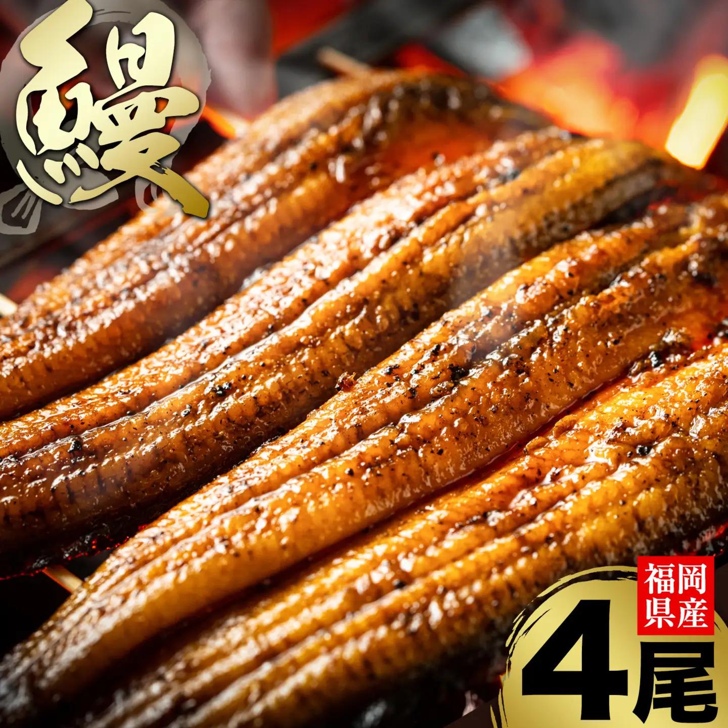 福岡県産 うなぎ 4尾 (1尾当たり：140g-180g) 国産 株式会社HOMIE 《45日以内に出荷予定(土日祝除く)》