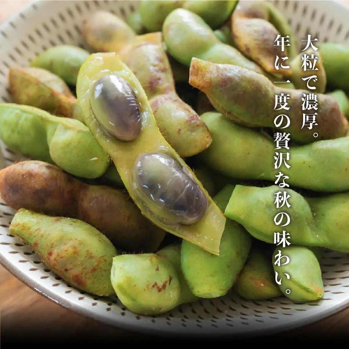 【先行予約】丹波篠山産 黒枝豆 1kg×2袋《晩摘み10/24～31》枝豆 [AQ18]