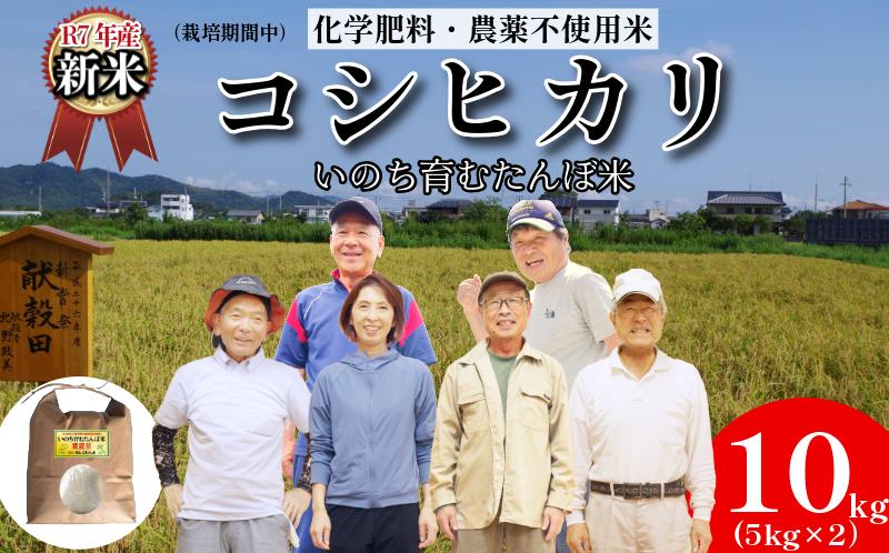 
            【令和7年産新米】米 コシヒカリ 10kg(5kg×2） 天皇献上米 (栽培期間中）化学肥料・農薬不使用米 白米 精米 こめ  ご飯 備蓄米 ごはん 新米  環境 に優しい 小松島 上王子特質米 10kg
          