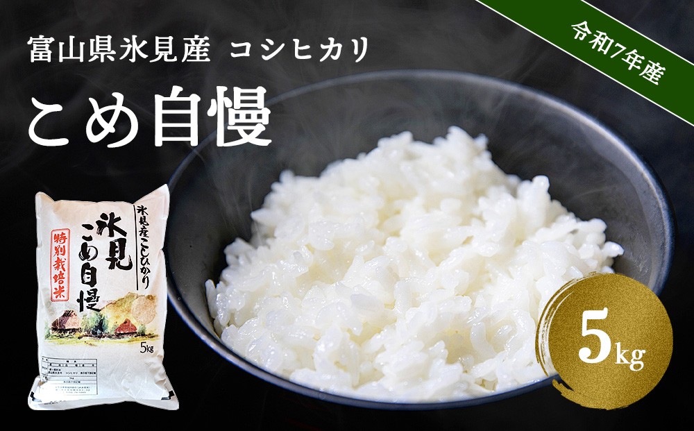 
                  令和7年産 富山県産 特別栽培米 コシヒカリ 白米 《こめ自慢》5kg 
                