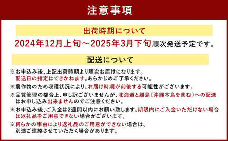 あまおう＆ふくや 味の明太子 200g いちご イチゴ 苺 めんたいこ セット【2024年12月上旬～2025年3月下旬発送予定】