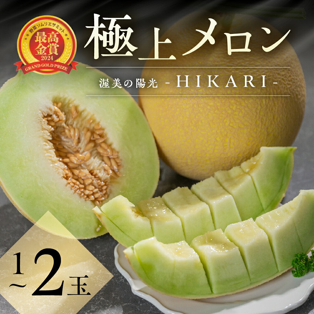 【ふるさと納税】 先行予約 2027年7月お届け 極上メロン 渥美の陽光-HIKARI- メロン 1玉・2玉 選べる 数量限定 渥美半島 田原市 お取り寄せ 産地直送 送料無料 メロン 糖度 メロン 青肉 ド甘い 暑さ 対策 暑さ対策 フルーツ 果物 甘い デザート スイーツ