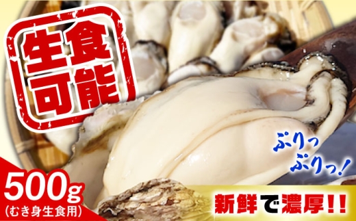 【12月19日（金）着】特選 牡蠣三昧！【生牡蠣】広島牡蠣　むき身500g 生食用 魚介類 海鮮 牡蠣 むき身 かき カキフライ カキ ギフト 広島県産 人気 送料無料 江田島市/株式会社門林水産 [XAO050] 牡蠣 冷凍 むき身 殻付き 殻付 殻 かき カキ 生牡蠣 広島牡蠣 オイスター カキフライ 魚介類 魚介 貝類 海鮮 広島県産 国産 産地直送 贈答 ギフト 特産品