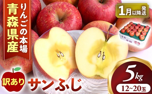 【訳あり】りんご【サンふじ】約5kg（12～20玉）【2026年産・先行予約】★2027年1月以降順次発送予定★ アップル 林檎 フルーツ 果物 果実  産地直送 農家直送 送料無料 青森県三戸町 AK-24-050