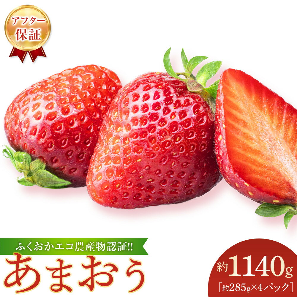 【ふるさと納税】ふくおかエコ農産物認証!! あまおう 約1140g 約285g×4パック ＜筑前町＞ | フルーツ 果物 くだもの 食品 人気 おすすめ 送料無料