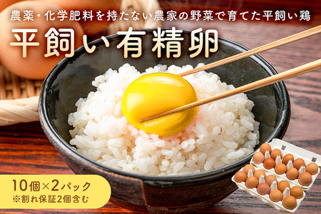 9月発送 有精卵　10個×2パック（割れ保証2個含む）農薬・化学肥料を持たない農家の野菜で育てた平飼い鶏 mi0036-0016-09