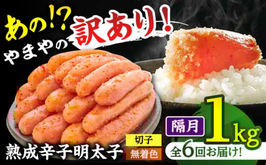 【 訳あり 】 やまや熟成 辛子明太子 切子（ 着色料不使用 ） 1kg （ 冷凍 ） 【 定期便 ：2か月毎お届け全6回】 ▼ わけあり ご自宅用 めんたいこ 無着色 定期便 桂川町/株式会社やまやコミュニケーションズ[ADAN038]