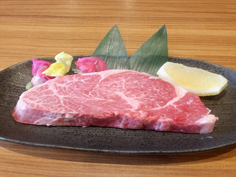 
            熊本県産黒毛和牛シャトーブリアン・ヒレステーキ450g×3ヶ月 - 肉 お肉 牛肉 黒毛和牛 ヒレ ひれ ヒレ肉 ヒレステーキ ステーキ シャトーブリアン やわらかい 高級 希少部位 贅沢 定期便 冷凍 国産 九州産 熊本県産 熊本県 甲佐町【A】
          