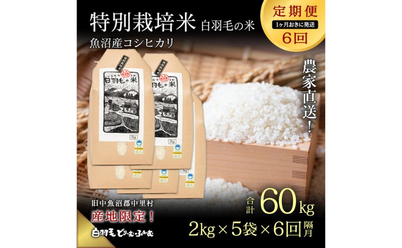 【通年受付】令和6年産　【定期便/1ヶ月おき全6回】魚沼産コシヒカリ 特別栽培「白羽毛の米」精米(2kg×5袋)×6回 60kg