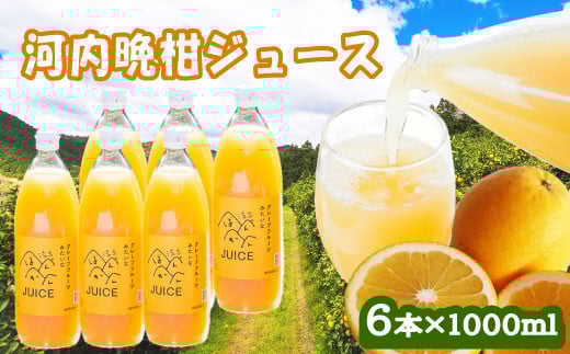 
            河内晩柑ストレートジュース 6本×1000ml 100%  河内晩柑 愛南ゴールド ジュース 柑橘 蜜柑 かんきつ 冬 秋 旬 正月 おすそ分け シェア 愛媛 愛媛県 愛南町 お歳暮 プレゼント ギフト 高級 くだもの ジュース 果物 フルーツ スイーツ ジュース おやつ お菓子 和菓子 清家ばんかんビレッジ
          