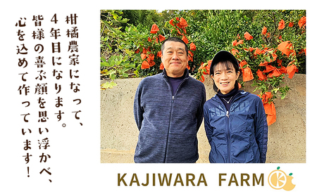 ＜柑橘100％ジュース （温州みかん6本）＞ 温州みかん ストレートジュース 果汁100％ ミカン 蜜柑 果物 柑橘 かじわらFARM 愛媛県 西予市【常温】『1か月以内に順次出荷予定』 MKF000